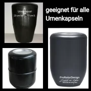 Holz Urne - Pappel s67