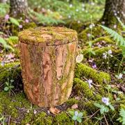 Baum Optik Urne - Kiefer mr02