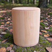 Urne/Stille Wälder - Tanne sw05